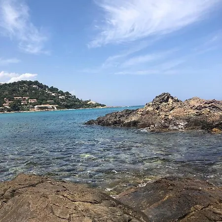 Jolie T2 Bord De Corse Du Sud *