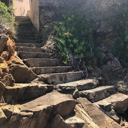 Jolie T2 Bord De Corse Du Sud